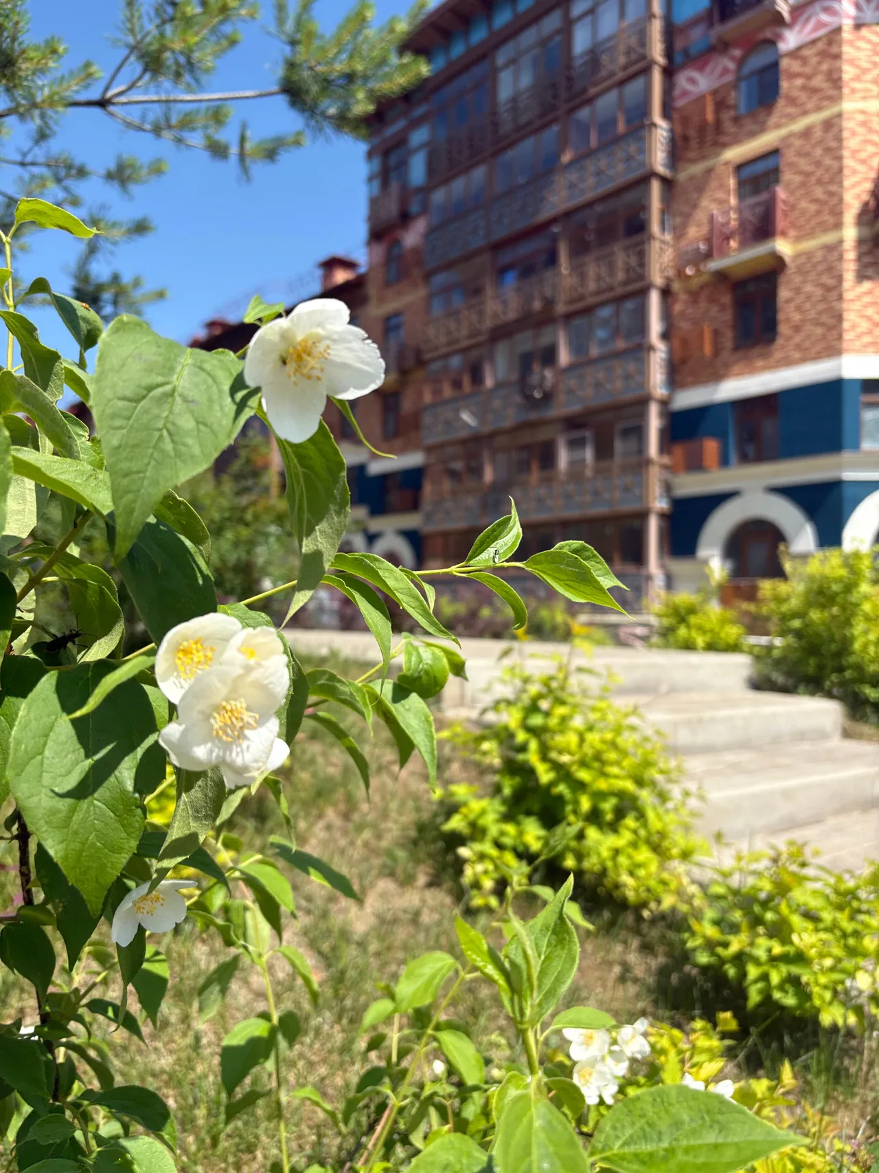 ЖК Гранель Аникеевский