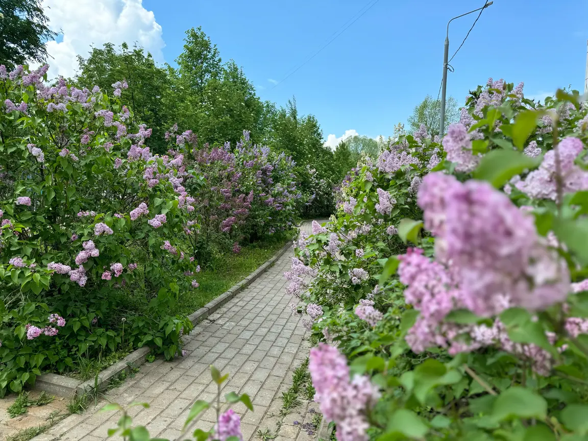 ЖК Химки Тайм