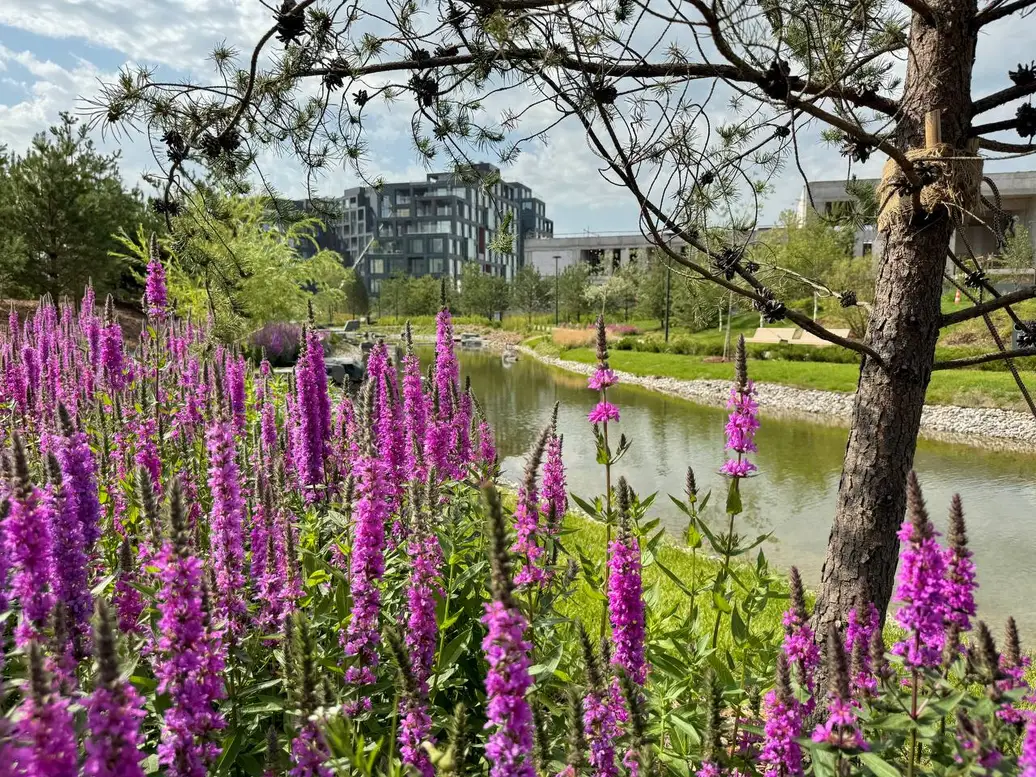 ЖК Рублёво-Архангельское — фасад